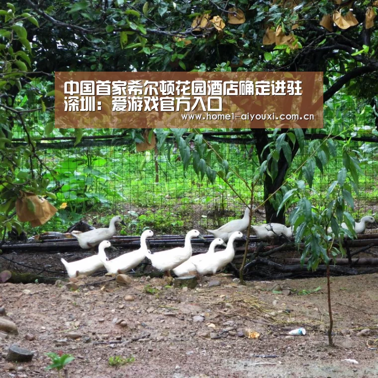 中国首家希尔顿花园酒店确定进驻深圳:爱游戏官方入口(图2) 爱游戏官网