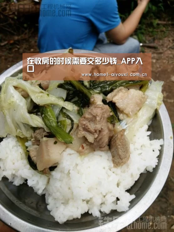 在收房的时候需要交多少钱_APP入口(图1) APP入口