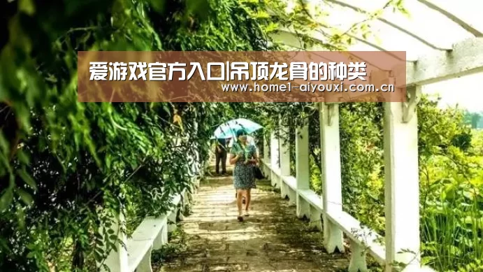 爱游戏官方入口|吊顶龙骨的种类(图2) APP入口